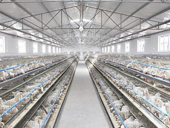 ��ˉA������е����ý�B